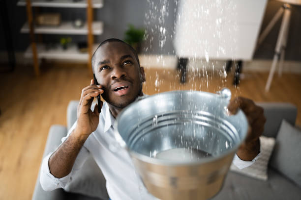 Best Water damage cleanup near me  in Tomah, WI