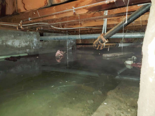 Best Residential water damage restoration  in Tomah, WI