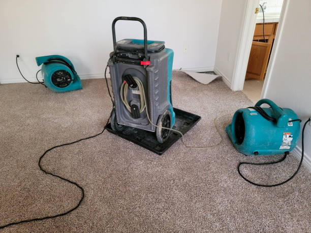 Best Water damage restoration near me  in Tomah, WI