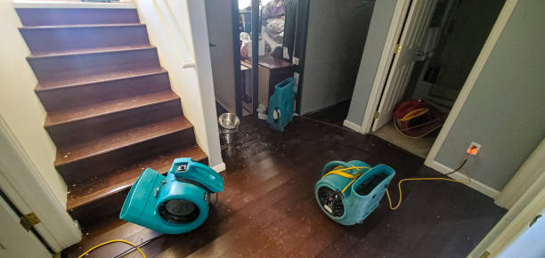 Best Local water damage restoration  in Tomah, WI