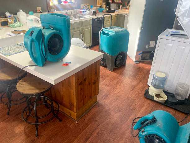 Best Emergency water damage restoration  in Tomah, WI
