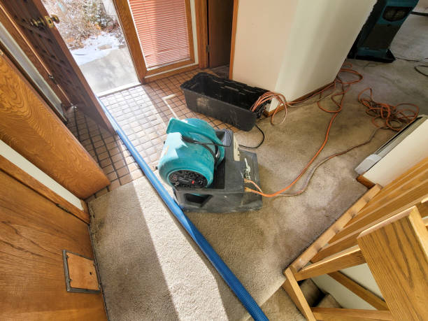 Best Water damage restoration mold remediation  in Tomah, WI