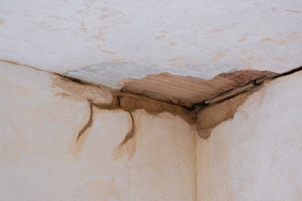 Best Water damage contractors near me  in Tomah, WI