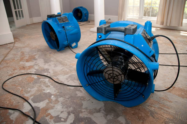 Best Professional water damage repair  in Tomah, WI