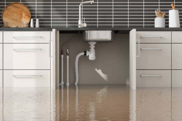 Professional Water damage restoration in Tomah, WI