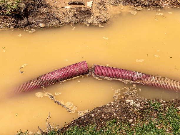 Best 24/7 water damage repair  in Tomah, WI